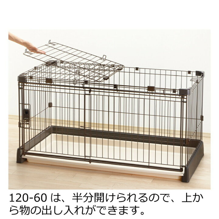 楽天市場】【全品MAX20%OFFクーポン 19日20:00〜】【公式直営】もっと 
