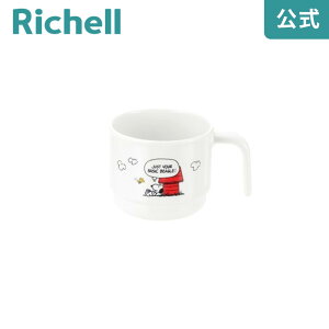 ySiMAX20%OFFN[|1920:00`zyczgC ЎJbvb`F Richell xr[ q   ǂ H Rbv Xk[s[  ~