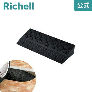 ���[�h�A�b�vG 6010���b�`�F�� Richell R1