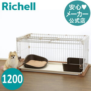 ySiMAX20%OFFN[| 420:00`z|ȒPybgP[W 1200XCOAbvŃtI[vB|ȒPȃP[WłBb`F Richell