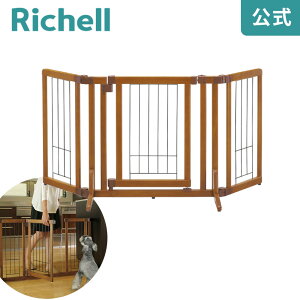 ySiMAX20%OFFN[|2420:00`zybgpؐhAtQ[gSTbƒuBhAtA߉\ȌpQ[gB(^Cv)b`F Richell