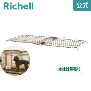 ؐXChybgT[N ChʖؐXChybgT[Np̉ʂłBb`F Richell