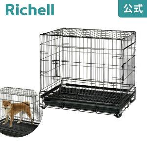 y15%OFFN[|ILINEFBo^zy݌ɌzvtFbViybgP[W Lb`F Richell ƖpƂĂgybgP[WB