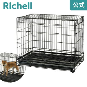 y15%OFFN[|ILINEFBo^zy݌ɌzvtFbViybgP[W XLb`F Richell ƖpƂĂgybgP[WB