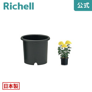ySiMAX20%OFFN[|420:00`ze 8b`F Richell  v^[ A K[fjO