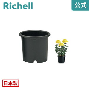 e 9b`F Richell  v^[ A K[fjO