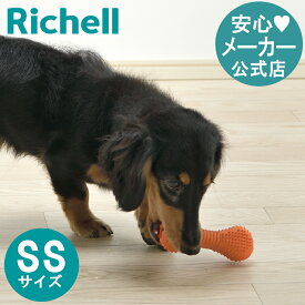 【公式】グルー ブラッシュ SSリッチェル Richell エサ入れ 知育 玩具 ペット 犬 ドッグ 用品 おやつ フード 噛む トイ 合成ゴム