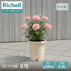 ySiMAX20%OFFN[| 2020:00`zyczES o 8b`F | K[f K[fjO Aؔ |bg ΂ KN [^ Aւ XJ[ グ r vX`bN {