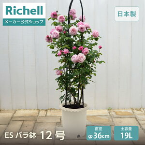 ySiMAX20%OFFN[| 420:00`zyczES o 12b`F | K[f K[fjO Aؔ |bg ΂ KN [^ Aւ XJ[ グ r vX`bN {