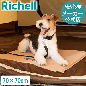 y15%OFFN[|ILINEFBo^zycz}[N^X Ct[^[ }bg 70-70b`F Richell ybg }bg V[g hbO  Lv O AEghA ObY