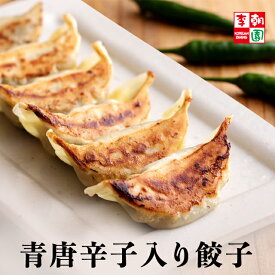 青唐辛子入り辛餃子 冷凍 [23g*10個～80個] 餃子 焼き餃子 韓国食品 韓国料理 韓国 【李朝園】