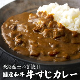 【送料無料】 宮崎県産黒毛和牛すじカレー 冷凍 [260g*4〜パック] 韓国食品 韓国料理 韓国 【李朝園】