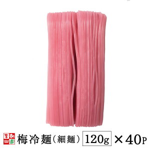 y11/20 20:00`11/27 1:59 XܓŃ|Cgő10{zyz~ 120g ז 1P[X 40pbN ؍ ؍Hi ؍ ؍ yz