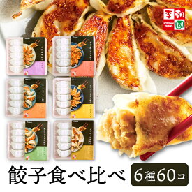 【送料無料】 李朝園自家製餃子食べ比べセット 冷凍 6種×10個 餃子 焼き餃子 韓国食品 韓国料理 韓国 【李朝園】