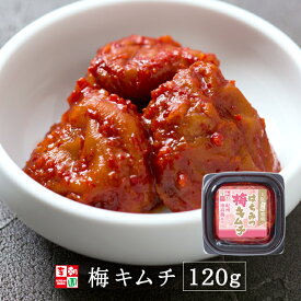梅キムチ 120g 韓国食品 韓国料理 韓国 【李朝園】