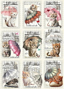 V IWi n L L ubNfUC nhChf Ntg AbvP