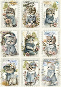 V IWi n L L ubNfUC nhChf Ntg AbvP