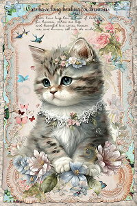 V IWi n L L ubNfUC nhChf Ntg AbvP