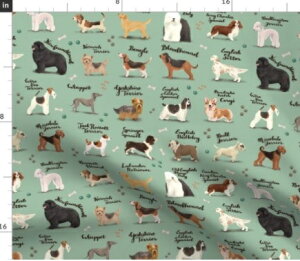  ̉fUC An n nhCh f ybg ps[ FȌ