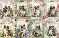 楽天市場】シェルティ（手芸・クラフト・生地｜日用品雑貨・文房具  