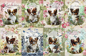 V IWi n  ps ubNfUC nhChf Ntg AbvP