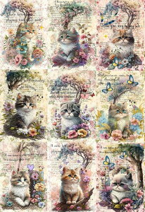 V n L L ubNfUC nhChf Ntg AbvP