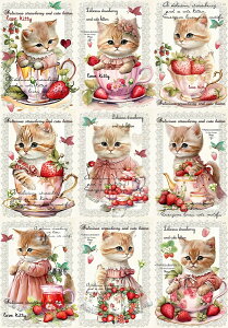 V IWi n L L ubNfUC nhChf Ntg AbvP