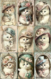 V IWi n L L ubNfUC nhChf Ntg AbvP