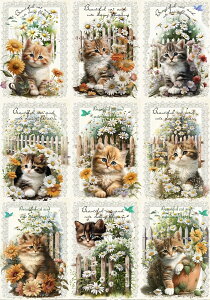 V IWi n L L ubNfUC nhChf Ntg AbvP