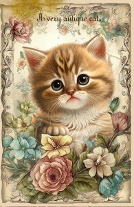 V IWi n L L ubNfUC nhChf Ntg AbvP