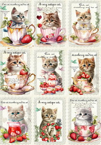 V IWi n L L ubNfUC nhChf Ntg AbvP