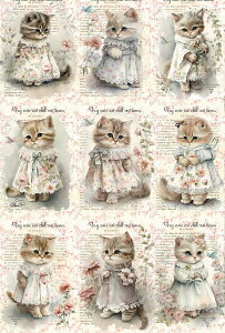 V IWi n L L ubNfUC nhChf Ntg AbvP