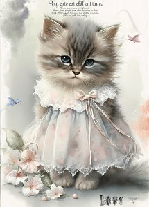 V IWi n L L ubNfUC nhChf Ntg AbvP