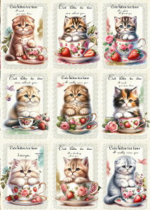 V IWi n L L ubNfUC nhChf Ntg AbvP