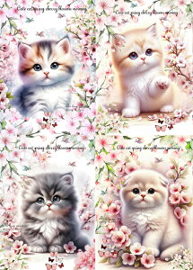 V IWi n L L ubNfUC nhChf Ntg AbvP