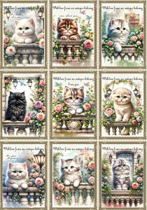 V IWi n L L ubNfUC nhChf Ntg AbvP