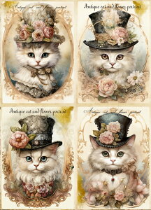 V IWi n L L ubNfUC nhChf Ntg AbvP