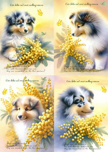 �V���� ���n �V�F���e�B�[ �V�F�b�g�����h�V�[�v�h�b�O �u���b�N�f�U�C�� �n���h���C�h�f�� �N���t�g �A�b�v���P