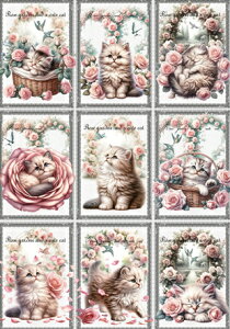 V IWi n L L ubNfUC nhChf Ntg AbvP