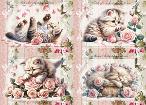 V IWi n L L ubNfUC nhChf Ntg AbvP