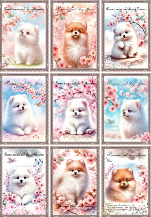 楽天市場】新入荷 オリジナル 生地 ポメラニアン ブロックデザイン  