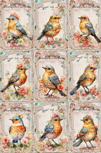 V IWi n IJCR  ubNfUC nhChf Ntg AbvP