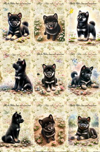 V IWi n Č ubNfUC nhChf Ntg AbvP