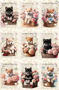 V IWi n Č ubNfUC nhChf Ntg AbvP