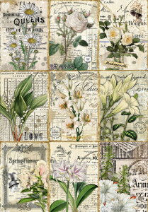 V IWi nt`X^C pln  WNW[i