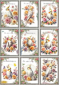 V IWi n IJCR  ubNfUC nhChf Ntg AbvP