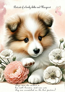 V n VFeB[ VFbghV[vhbO ubNfUC nhChf pln