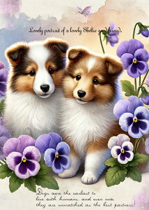 V n VFeB[ VFbghV[vhbO ubNfUC nhChf pln