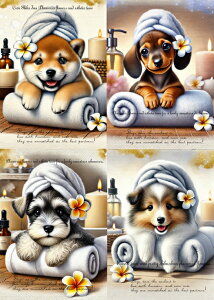 V IWi n  nhChf pln Č ~j`A_bNXth ~j`AViEU[ VFeB