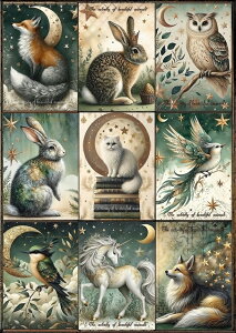 V IWi n  pln L  jR[  tNE 